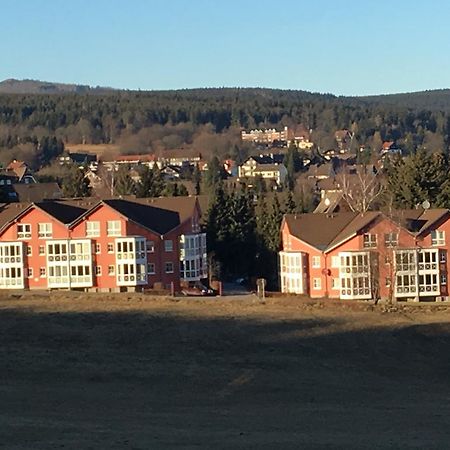 Apartment Gosch an der Skiwiese Braunlage Exterior foto
